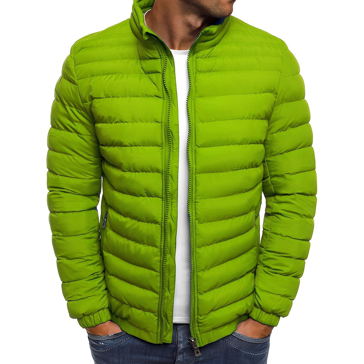 Bernard - Exzellente und gemütliche Jacke