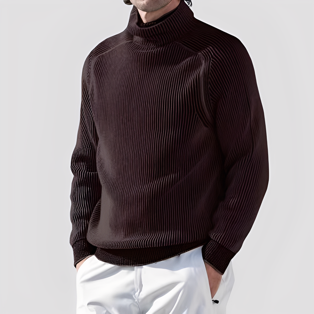 Chadwick - Komfortabler Rollkragenpullover