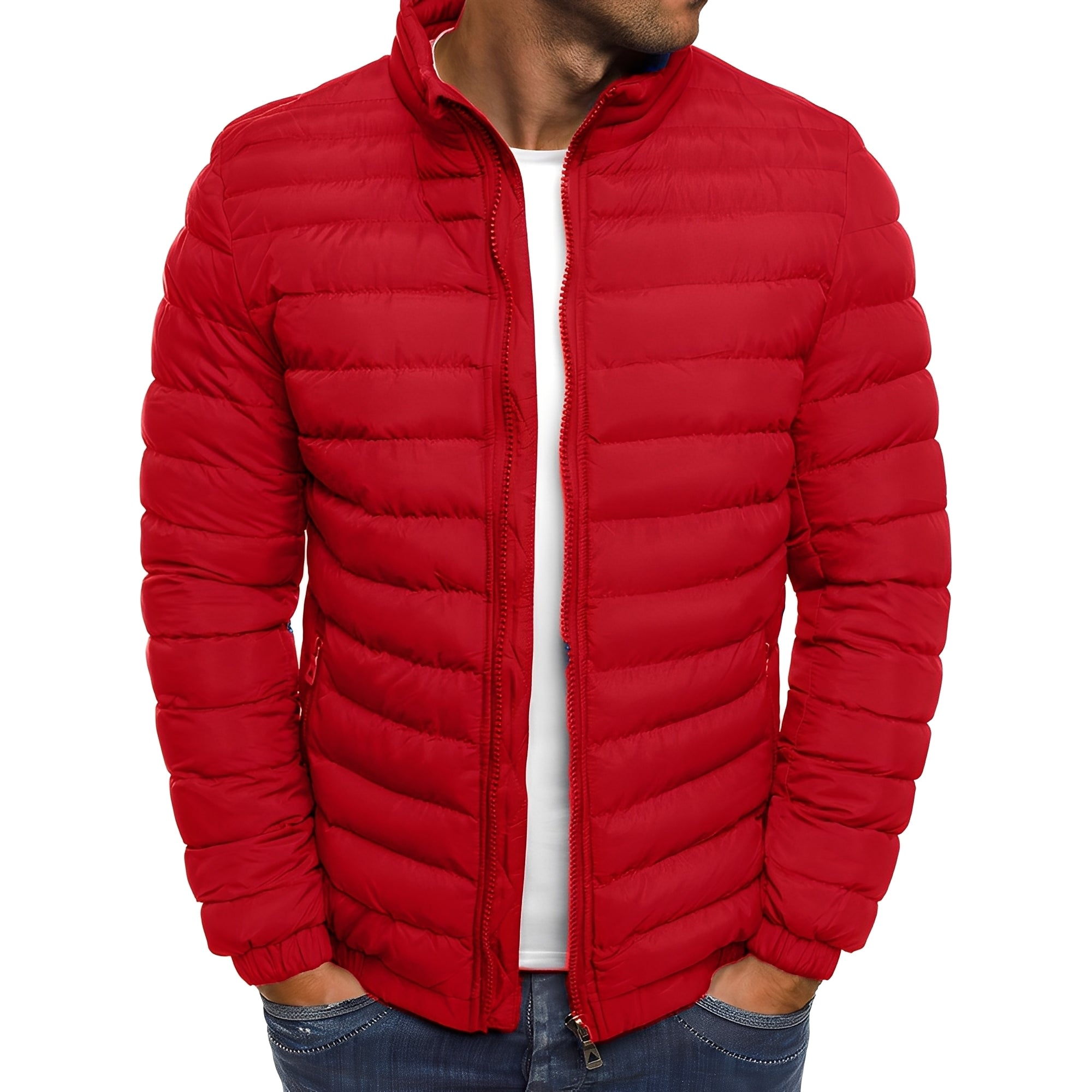 Bernard - Exzellente und gemütliche Jacke